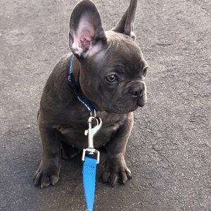 Meet your Posher, Arturo